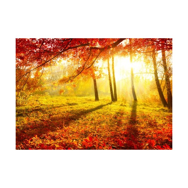 Autumn Lodge Premium Fragrance Oil, 4 Oz. Bottle