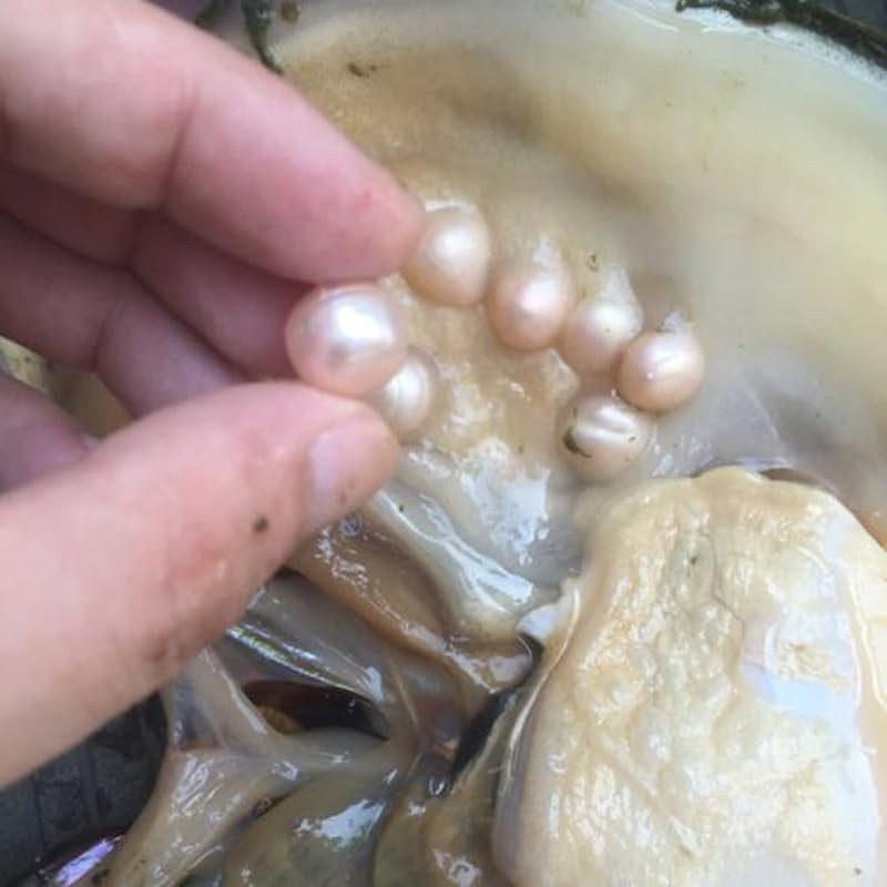 Pearl Powder 3.5 oz (100 g) Pearl Powder 100% Edible