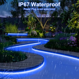 BRILLIHOOD Blue Neon Rope Lights, Flexible 120V LED Light Strip, SMD2835 120LEDs/M Outdoor Waterproof Plug & Play Neon Lighting with 2M UL Plug for Home Building Commercial Decor, 30M/98.4Ft