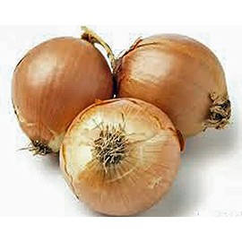 Onion, Yellow Spanish Onion Seeds, 100 Seeds Heirloom, Non- GMO, One of The Most Popular for Gardeners, This Jumbo-Sized Onion is mild with Golden Brown Skin.