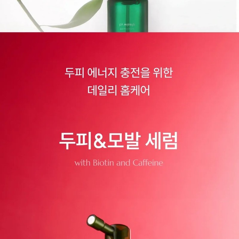 wisely Scalp & Hair Strengthening Serum 100ml / 두피&모발강화 세럼