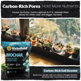 Wakefield Premium Biochar Soil Conditioner Organic Biochar 4 Quarts