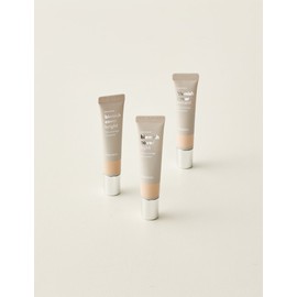 Hanskin [한스킨] 블레미쉬 커버 12g 3종 [Hanskin] Blemish Cover 12g 3 Types