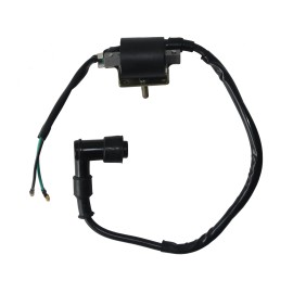 Unbranded 12V Ingition Coil For 50cc 70cc 90cc 110cc 125cc ATV Dirt Pit Bike Moped Go Kart