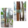 Good Ideas Self Affixing Quick Wrap Velcro Plant Tape (1224)