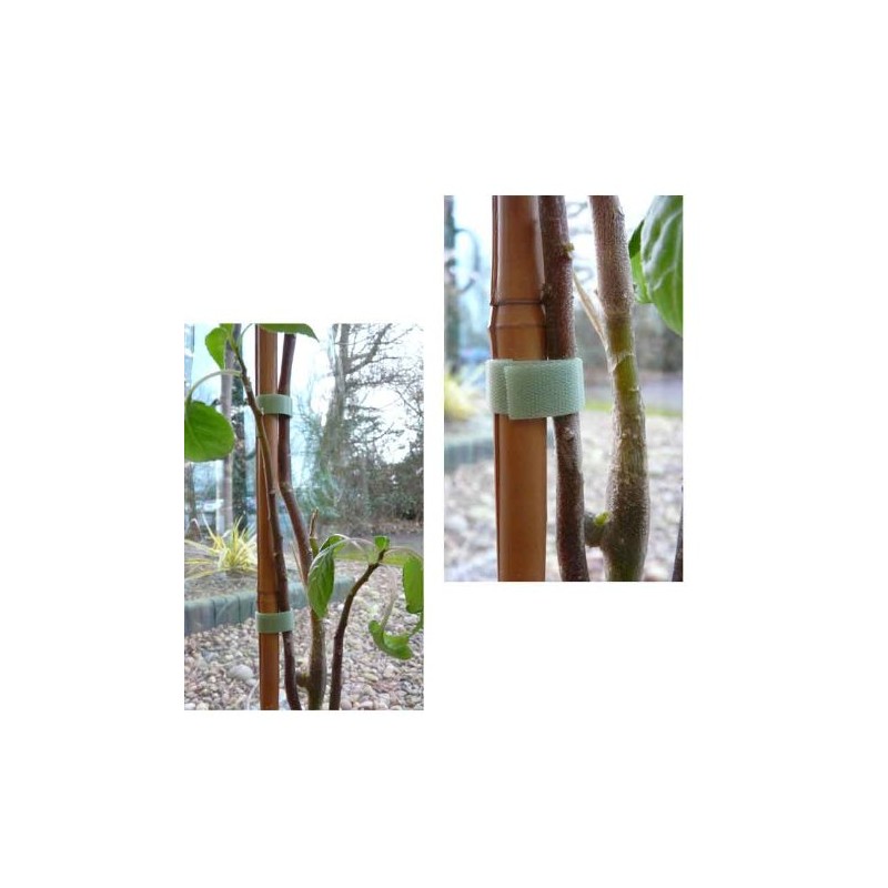 Good Ideas Self Affixing Quick Wrap Velcro Plant Tape (1224)