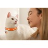 4PCS Cat Collar with Bells,Breakaway Cat Collars,Moons Stars Cute Kitty
