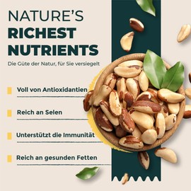 FOODIN Brazil Nuts 2 x 500 g, Excellent Source of Protein and Unsaturated Fatty Acids, 100% Organic Brazil Nuts, Gluten Free and Vegan, Pack of 2