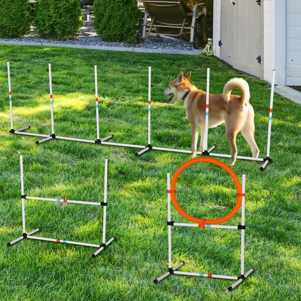 FocusOnHome 3PC Dog Agility Equipment Set, Obstacle Course Exercise for