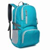 Lightweight Foldable Backpack Waterproof Packable Travel Hiking Backpack Daypack for