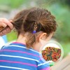 Pack of 500 Rubber Bands, 38 mm Colourful Rubber Rings,