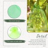 Pack of 100 Fruit Protective Bags, Grape Protective Bags, Fruit