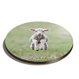 1 x Round Coaster - Cute Spring Lamb Sheep Farm Cork Backed MDF Glossy Tea Coffee Accessory #50697
