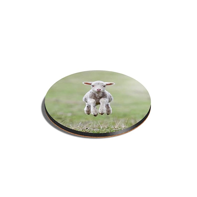 1 x Round Coaster - Cute Spring Lamb Sheep Farm