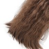 Women Long Curly Wigs Central Parting Universal Wig Headgear for