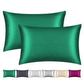 Smbeope 100% Mulberry Silk Pillowcase 2 Pack for Hair and Skin,with Hidden Zipper,Both Sides 22 Momme Natural Silk Pillow Cover,Soft Breathable & Smooth (Dark Green, Queen)