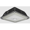 RAB VAN17-30 Ceiling Mount LED Canopy Light 20/25/30W 8""X8"" Field