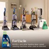 BISSELL 2X Pet Stain & Odor Full Size Machine Formula,