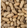 Hampton Farms Roasted Salted In-Shell Peanuts Hampton Farms Bulk Supply