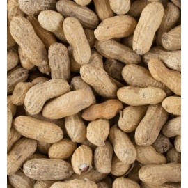 Hampton Farms Roasted Salted In-Shell Peanuts Hampton Farms Bulk Supply Gluten Free 25-Lbs