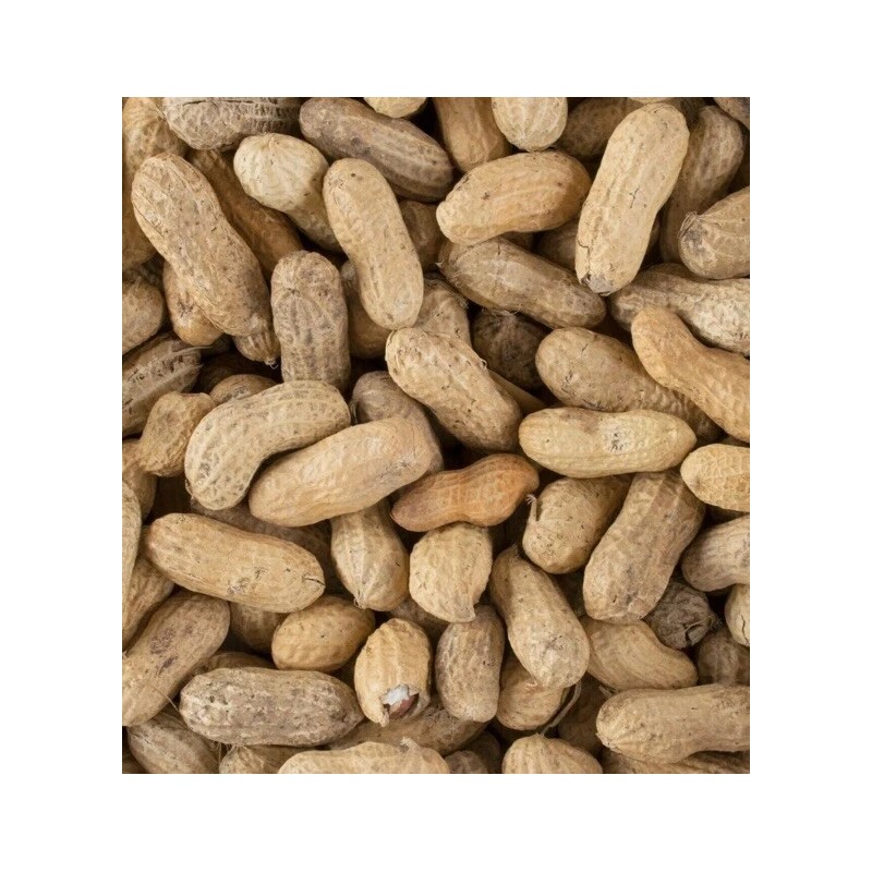 Hampton Farms Roasted Salted In-Shell Peanuts Hampton Farms Bulk Supply