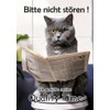 Blechschild Humor Aluminium 20x30cm - auf der Toilette mit Zeitung