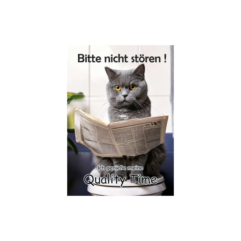 Blechschild Humor Aluminium 20x30cm - auf der Toilette mit Zeitung