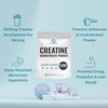 DEAL SUPPLEMENT Instant Creatine Monohydrate Powder, 5g Per Serving –
