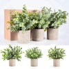 Der Rose 3 Pack Mini Potted Fake Plants Artificial Plastic