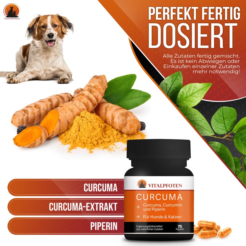 Vitalpfoten 75 Curcuma Capsules for Dogs and Cats with Curcumin