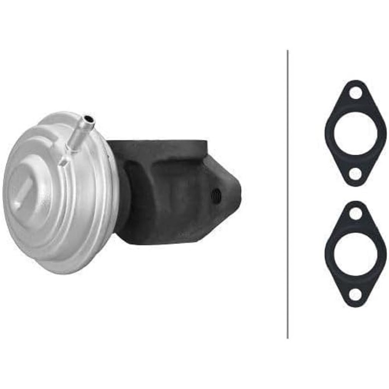 HELLA 6NU 014 865-441 EGR Valve Pneumatic with Seals