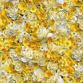 Maywood Studio - Hand Picked Forget Me Not - Cheerfulness - Yellow