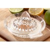 Judge Kitchen TC372 Glass Citrus Juicer, 40ml, Dishwasher Safe -