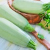 Squash Seeds - Summer - Vegetable Marrow White Bush -