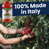 La San Marzano Tomato Basil Sauce, 24 oz, Pasta Sauce