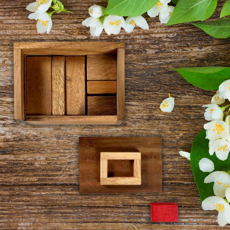 Difficult Puzzle for Adults - Hide The Red Stone Wood