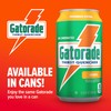 Gatorade Thirst Quencher, Orange, 12 Fl Oz Cans (Pack of