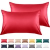 Warmstar Cotton King Size Red Pillow Cases 2 Pack 90