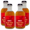 Crave It. Apple Cider Vinegar with Mother - Gut Health
