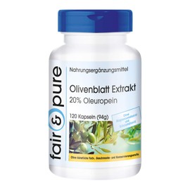 Olive Leaf Extract 500mg, Standardized to 20% Oleuropein, 120 Capsules (No Magnesium Stearate Vegan, Rich in Natural Antioxidants