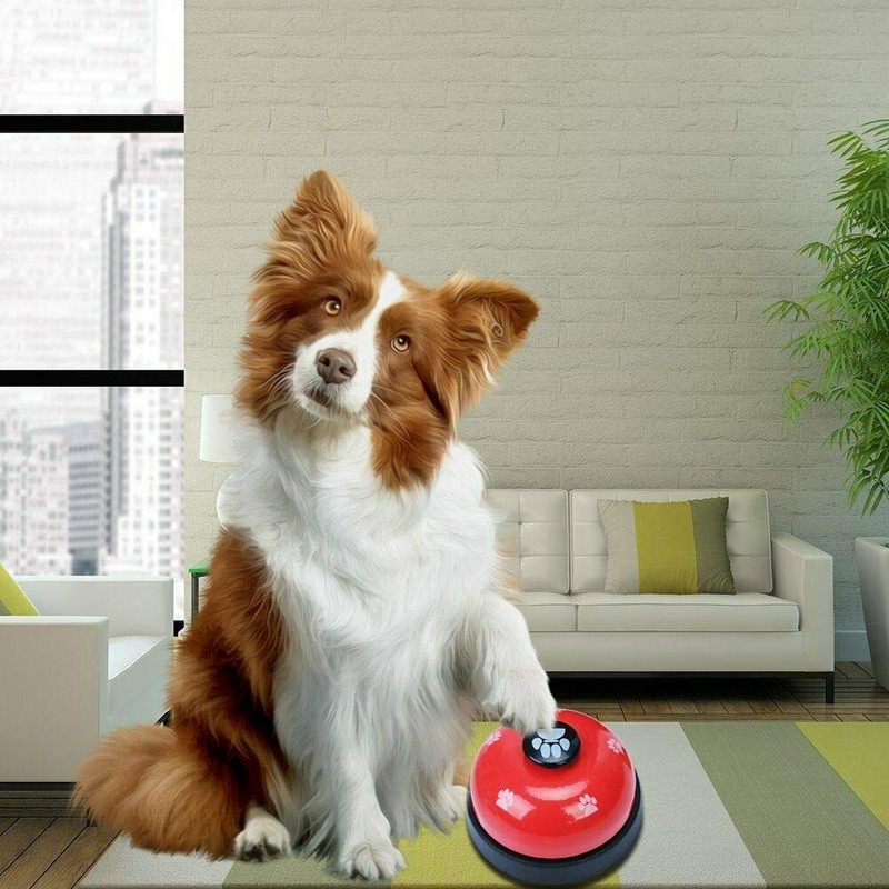 (2 Pack) Pet Doorbells, Proxima Direct Metal Bell Dog Training
