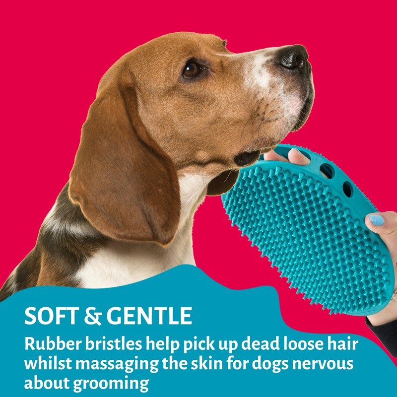 Mikki Dog, Cat Rubber Grooming Glove - Short Hair Remover