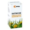 Kattwicor Tablets Pack of 100