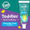 Tom's of Maine Fluoride-Free Toddler Training Toothpaste, Mild Fruit, 1.75