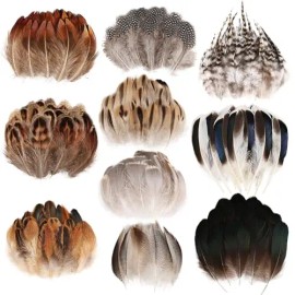 300 Pcs Small Feathers 10 Style Mixed Spotted Decorative Natual Pheasant Feather for DIY Crafts Clothing Jewelry Hair DecorationColor: Mix Feathers-Brown