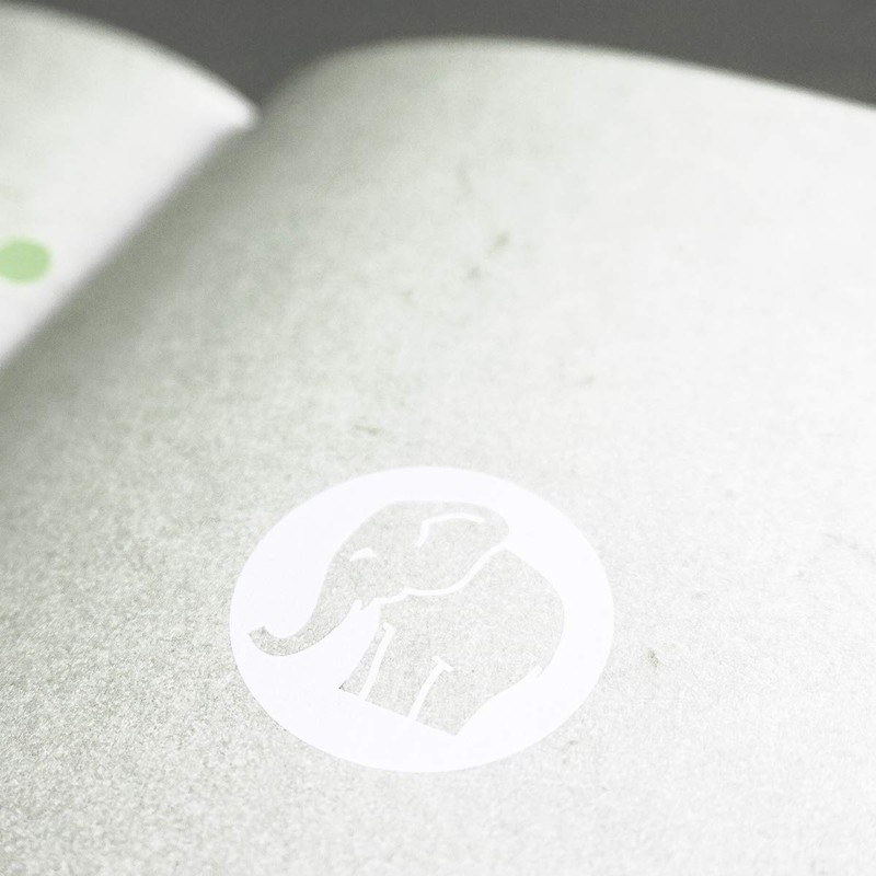 ZANDERS Elefantenhaut Office DIN A4 110g/m ws