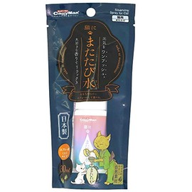 cat-man cat again water