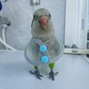 Adjustable Parrot Cone Collar, Safe and Practical Cotton Collar to