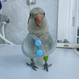 Adjustable Parrot Cone Collar, Safe and Practical Cotton Collar to Prevent Bites and Licking Wounds, to Help heal (2XL)