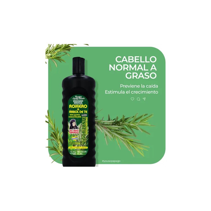 Shampoo Romero Y Árbol De Te Del Indio Papago